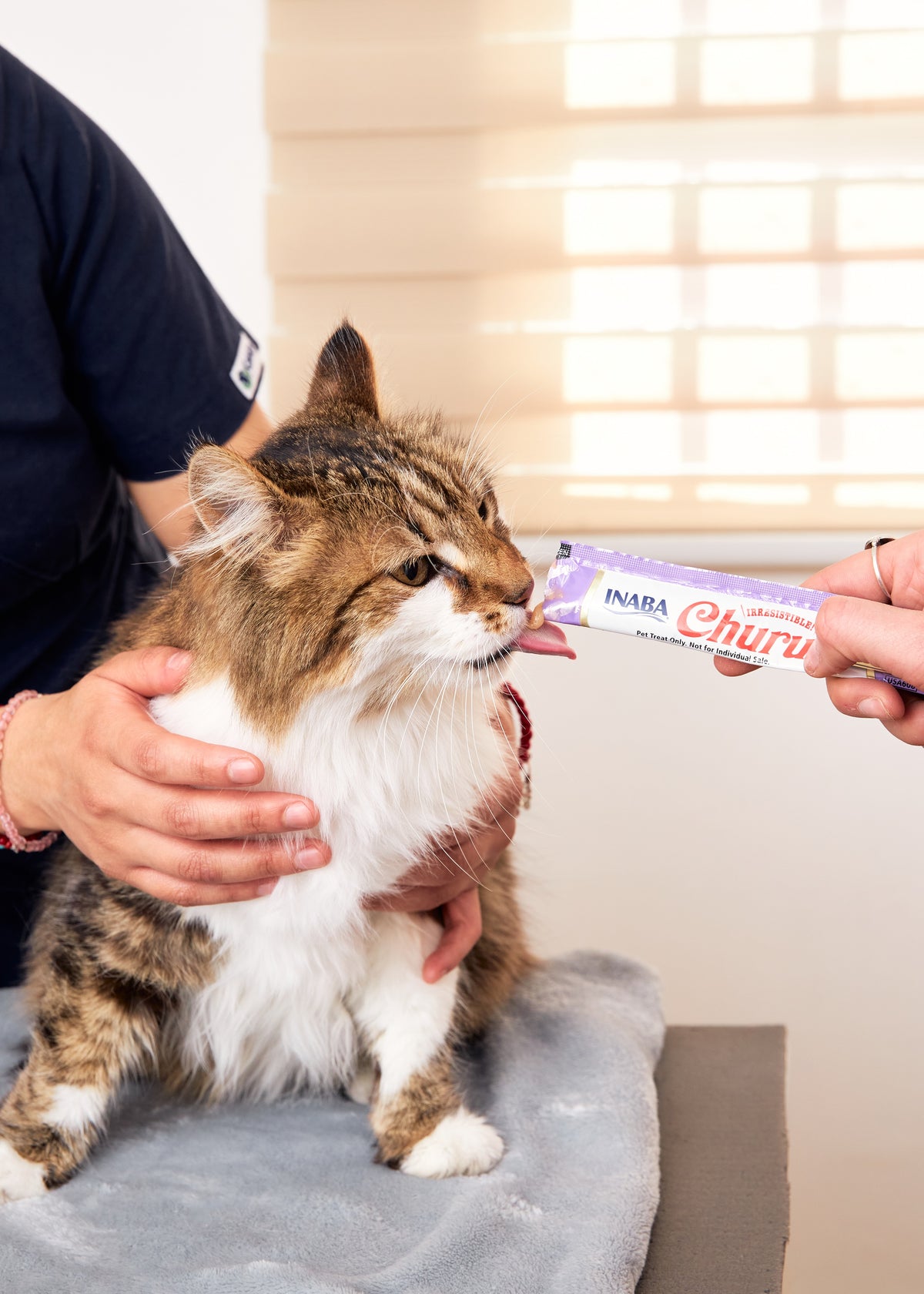 Inaba Churu — foto oficial de la gama para gatos