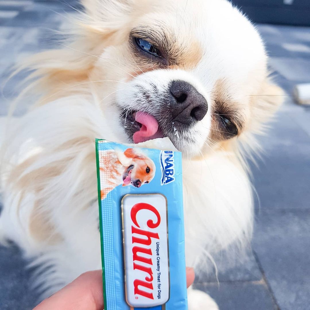 Inaba Churu — foto oficial de la gama para perros