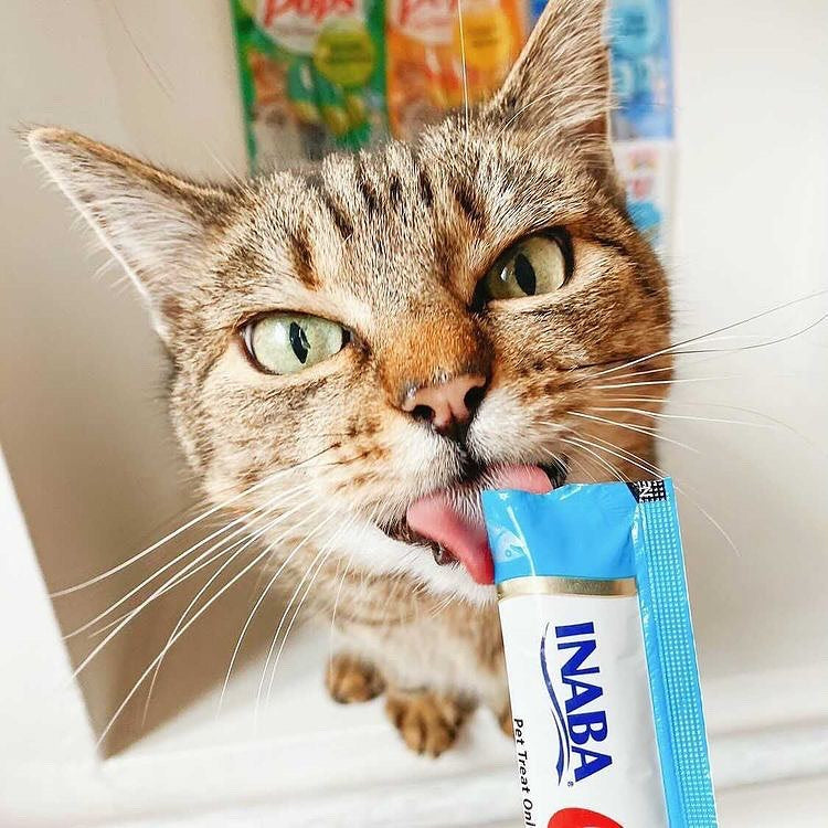 Inaba Churu — foto oficial de la gama para gatos