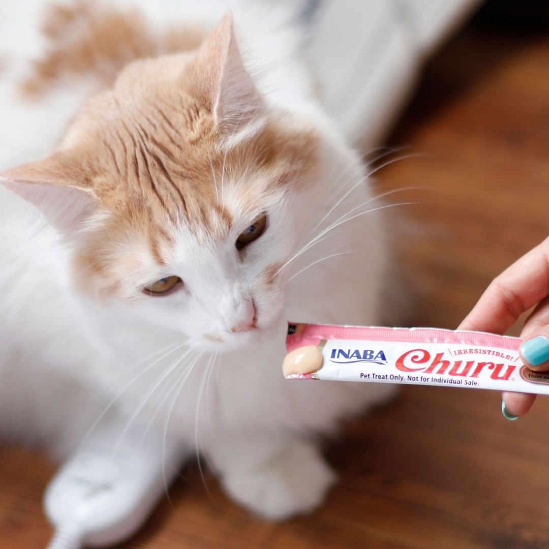 Inaba Churu — foto oficial de la gama para gatos