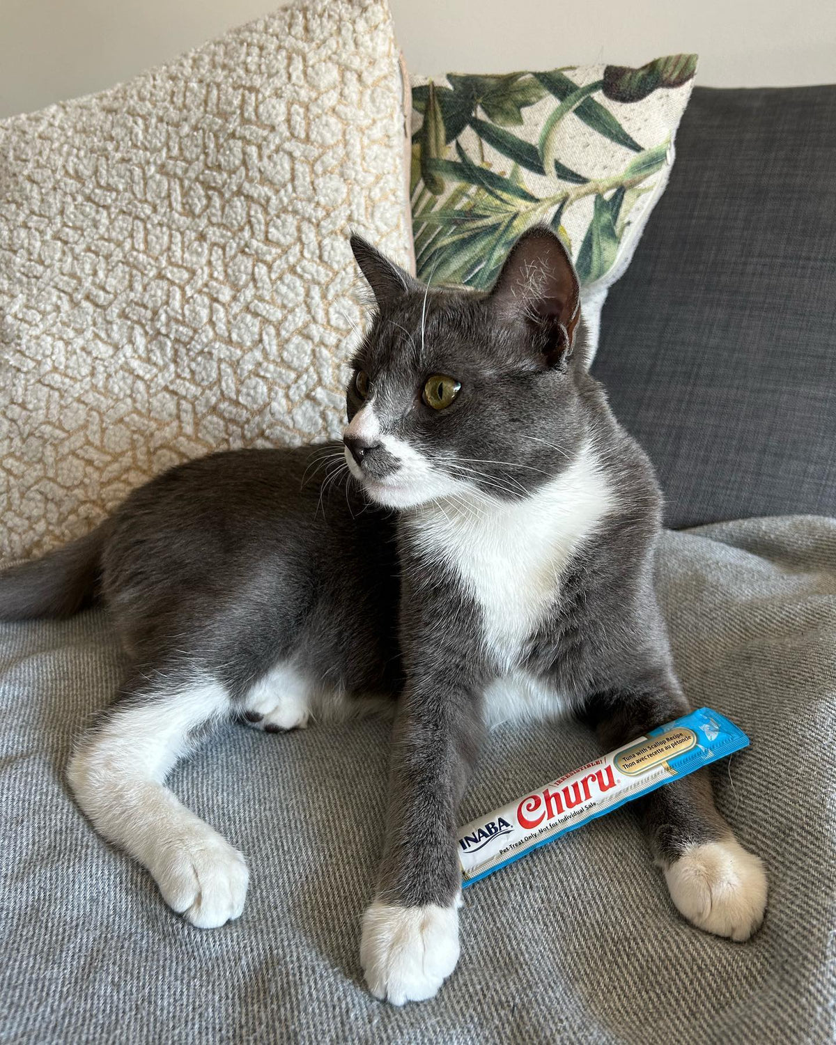 Inaba Churu | Premio cremoso para gatos sabor atún con ostión — foto oficial INABA Churu