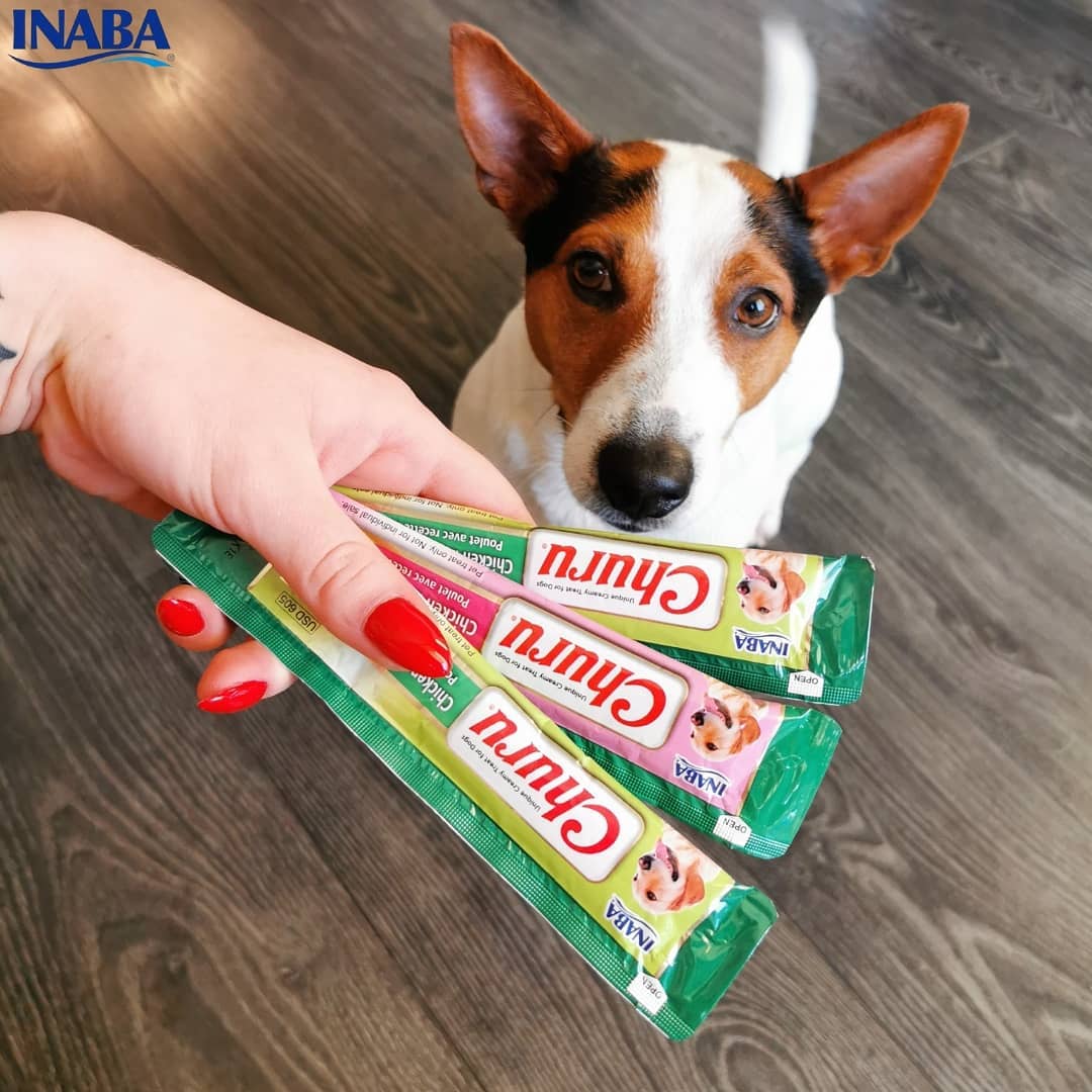 Inaba Churu — foto oficial de la gama para perros