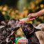 Inaba Churu | Premio cremoso para perros sabor pollo con vegetales — foto oficial INABA Churu