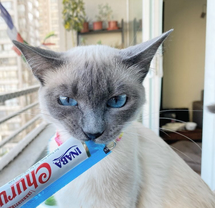 Inaba Churu — foto oficial de la gama para gatos
