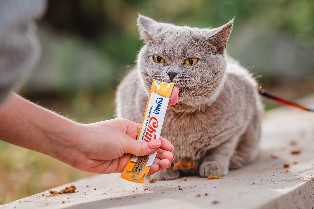 Inaba Churu | Premio cremoso para gatos sabor pollo — foto oficial INABA Churu