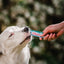 Inaba Churu — foto oficial de la gama para perros
