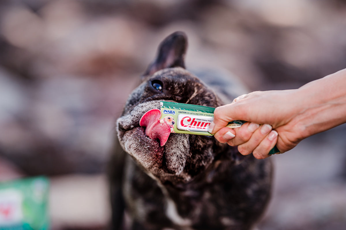 Inaba Churu — foto oficial de la gama para perros