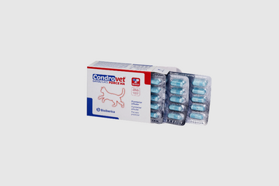Condrovet Force HA Gatos - imagen principal