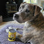 Taste of the Wild | High Prairie bisonte en salsa para perros (lata)