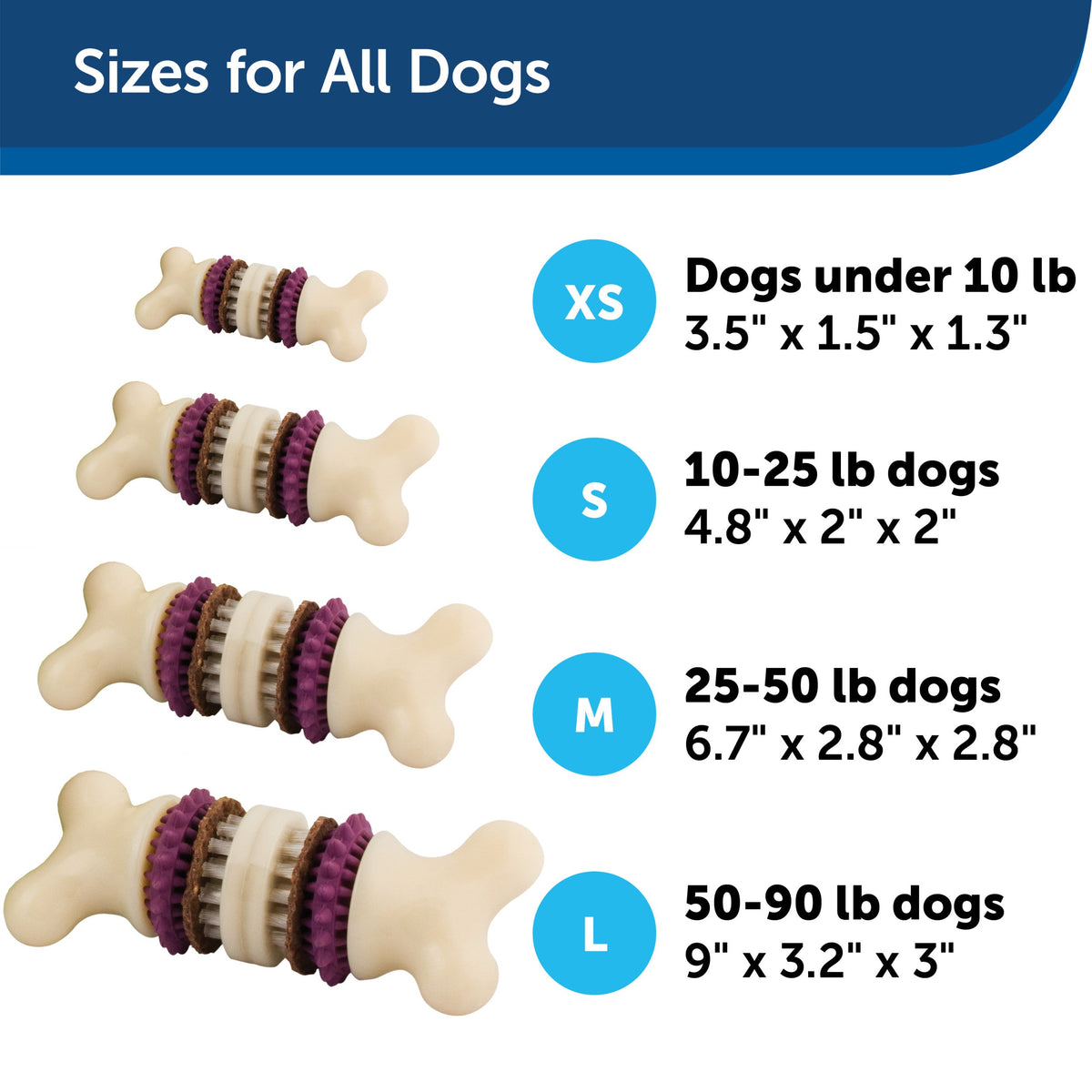 PetSafe Busy Buddy Bristle Bone M