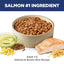 Hill's Science Diet | Alimento seco para perros adultos Adult. Receta de salmón.