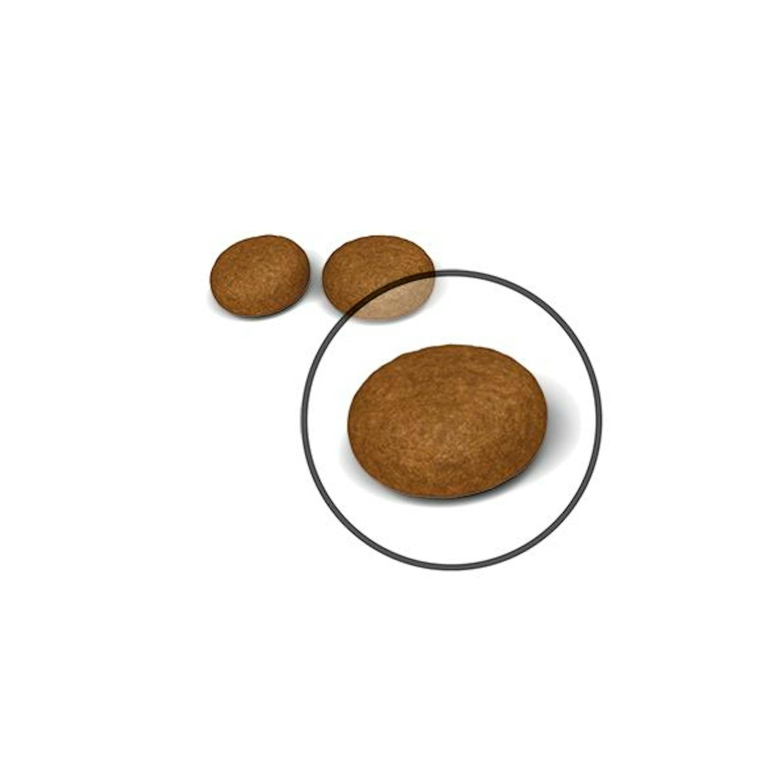 FCN22 - HAIR&SKIN - DRY -  KIBBLES - B1