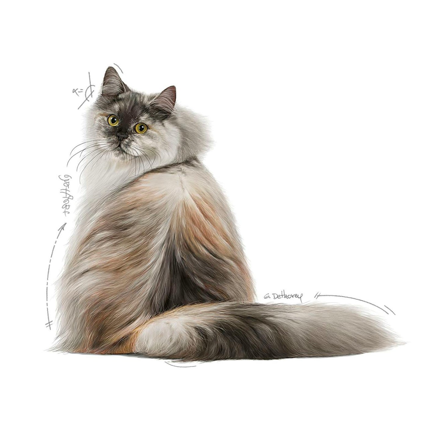 FCN22 - HAIR&SKIN - DRY - SIBERIAN - FACING - EMBLEMATIC PICTURE - B1
