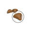 FCN22 - HAIRBALL CARE - DRY -  KIBBLES - B1