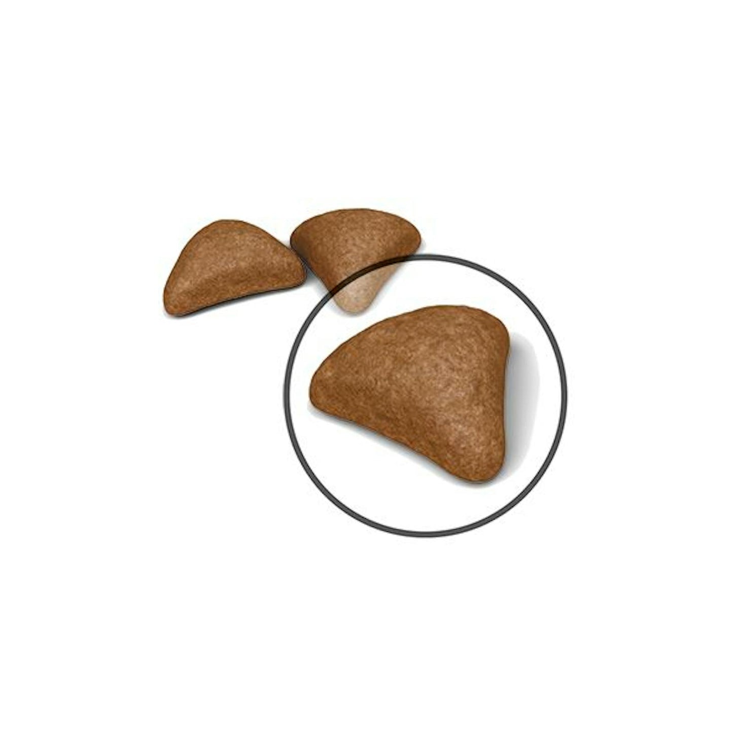 FCN22 - HAIRBALL CARE - DRY -  KIBBLES - B1