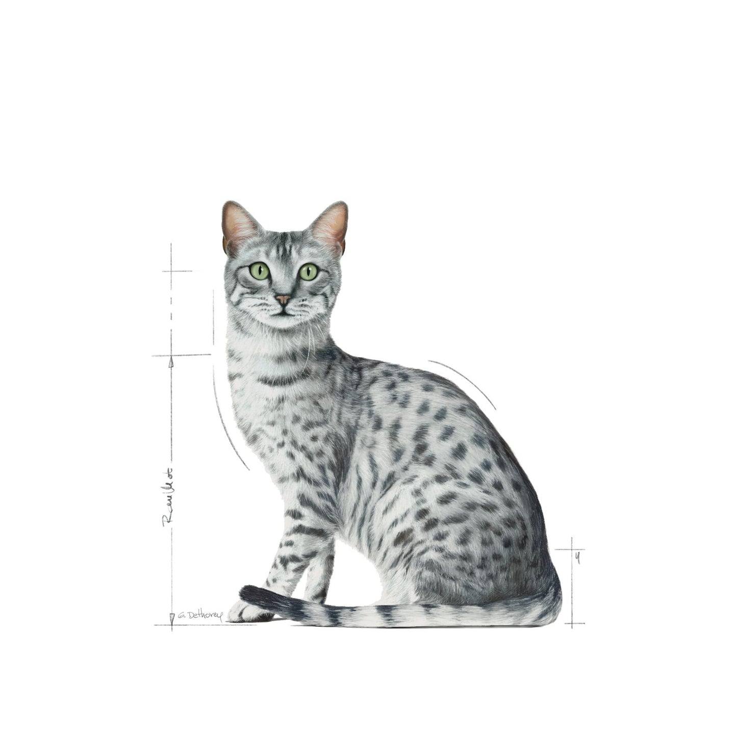 FHNW20 - INDOOR STER-ILLUSTR-B1