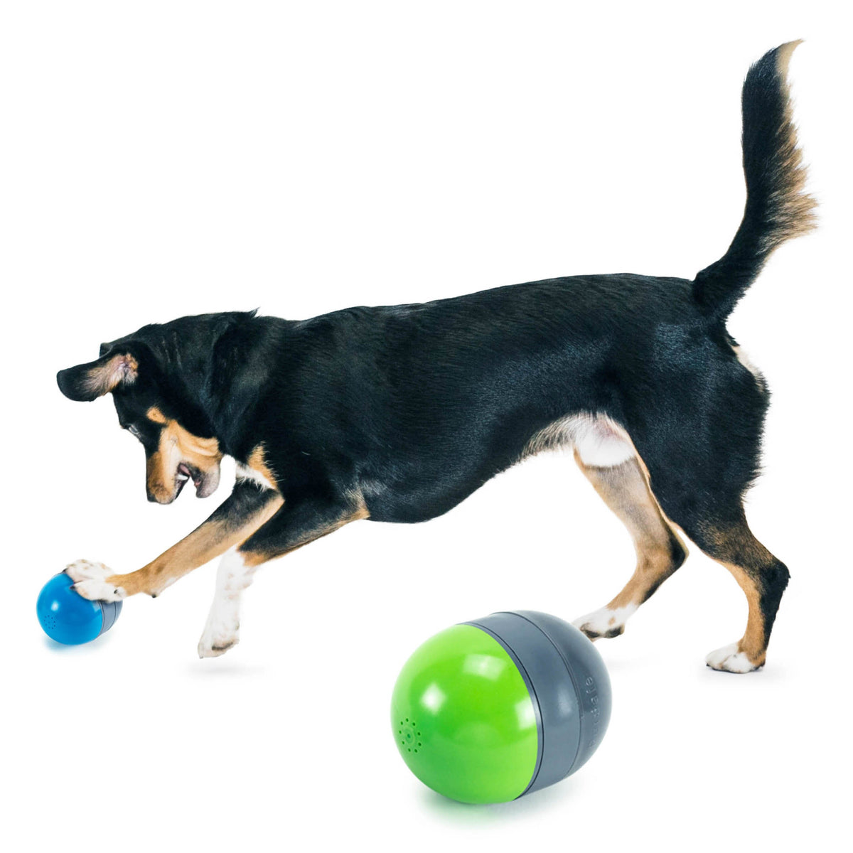 PetSafe Ricochet Electronic Dog Toy