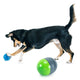 PetSafe Ricochet Electronic Dog Toy