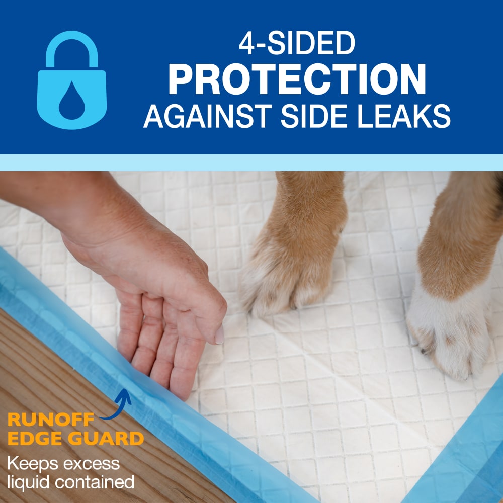 Four Paws Wee-Wee Gigantic con Runoff Edge Guard, 18 empapadores · protección en los 4 lados (Runoff Edge Guard)