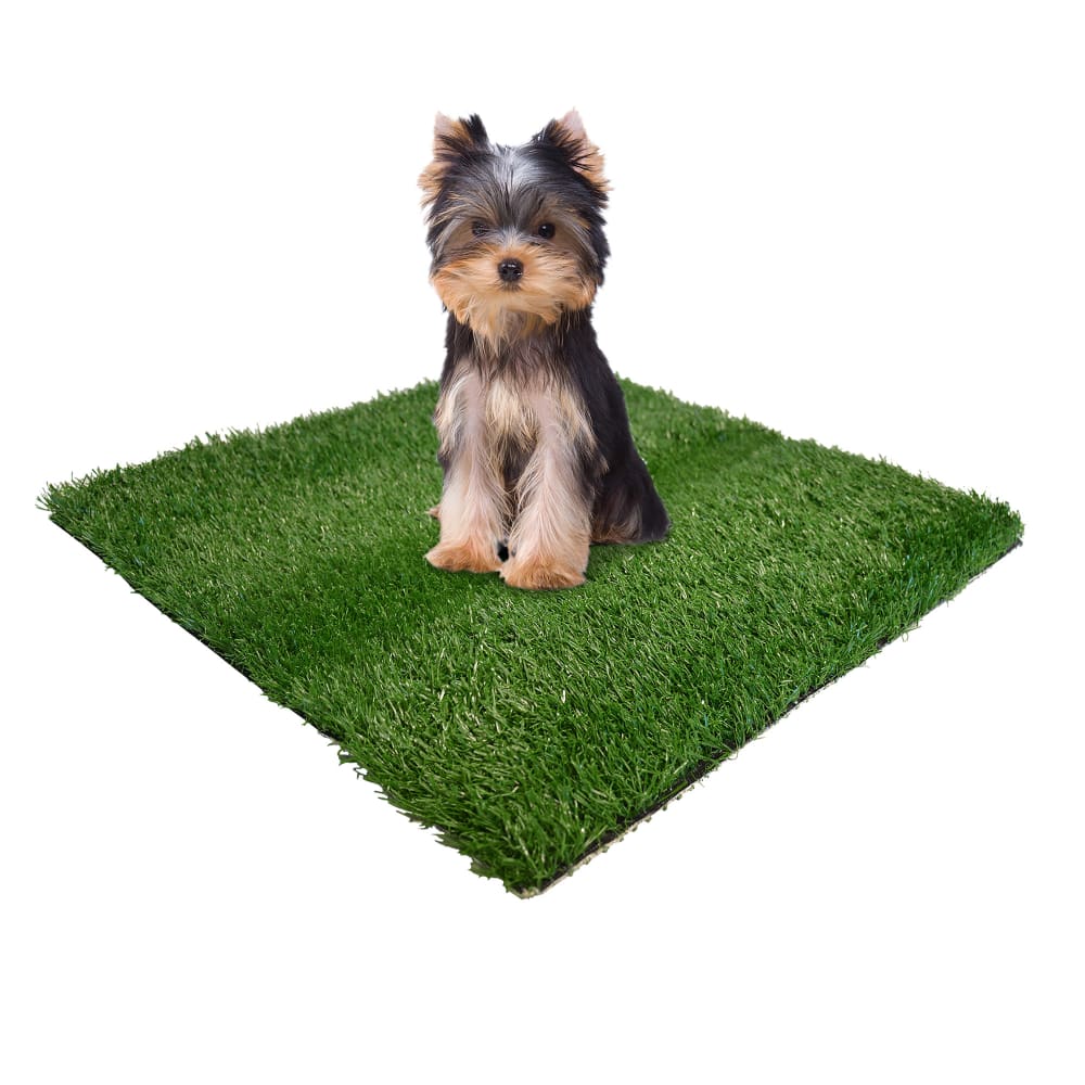 Four Paws Wee-Wee Patch césped de repuesto pequeño 48 x 48 cm · en uso