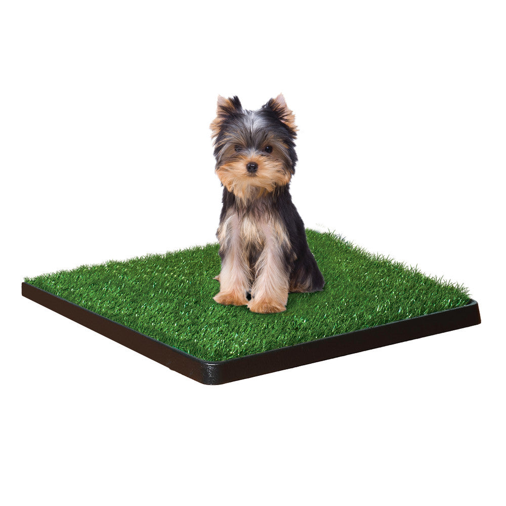 Four Paws Wee-Wee Patch pequeño 50.8 x 50.8 cm · en uso