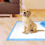 Four Paws Wee-Wee Superior Performance (Original 24HR) · en uso con cachorro