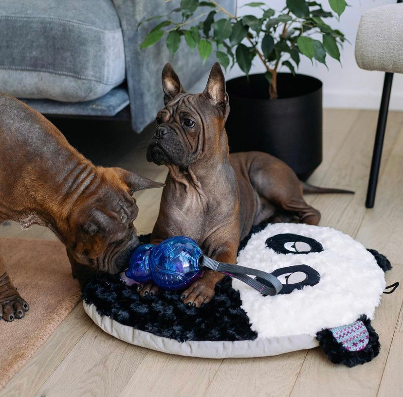 Gigwi Ball Trans | Pelota transparente con sonido para perros — foto oficial GiGwi