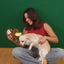 Gigwi | Juguete para perros Duraspikes extra resistente ardilla naranja — foto oficial GiGwi