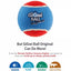 Gigwi Ball Originals | Pelotas de tenis para perros, pack de 3 — foto oficial GiGwi