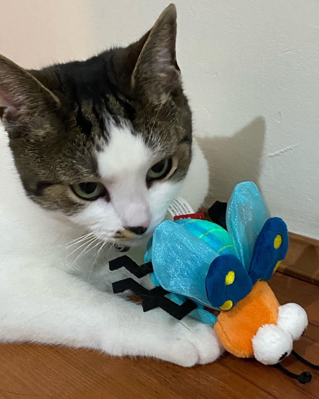 Gigwi | Juguete para gatos Luciérnaga "Shining Friends" con luz LED activada y catnip en el interior — foto oficial GiGwi