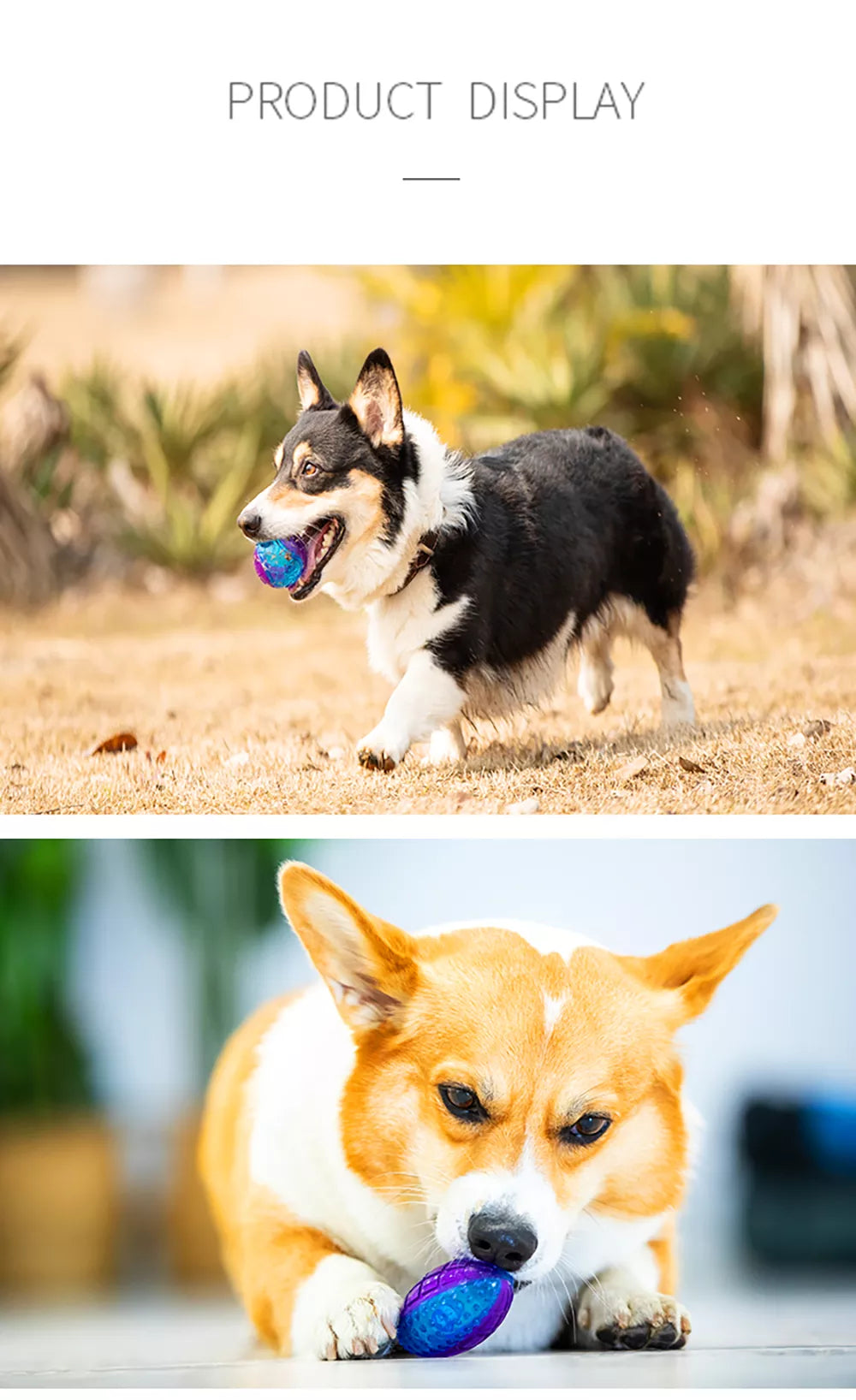 Gigwi Ball | Pelotas para perros, exhibidor de 3 unidades — foto oficial GiGwi