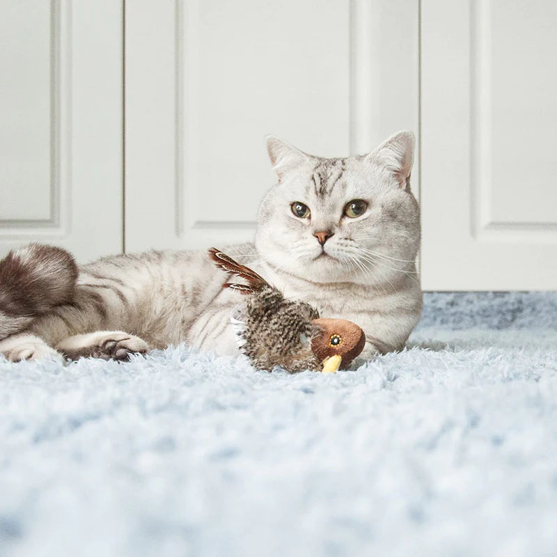 Gigwi | Juguete para gatos Pájaro 'Melody Chaser' sonido de pájaro y pluma — foto oficial GiGwi