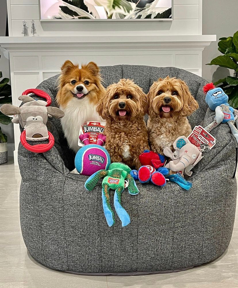 Gigwi | Juguete para perros felpa FRIENDZ elefante M — foto oficial GiGwi
