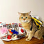 Gigwi | Juguete para gatos Pájaro 'Melody Chaser' sonido de pájaro y pluma — foto oficial GiGwi
