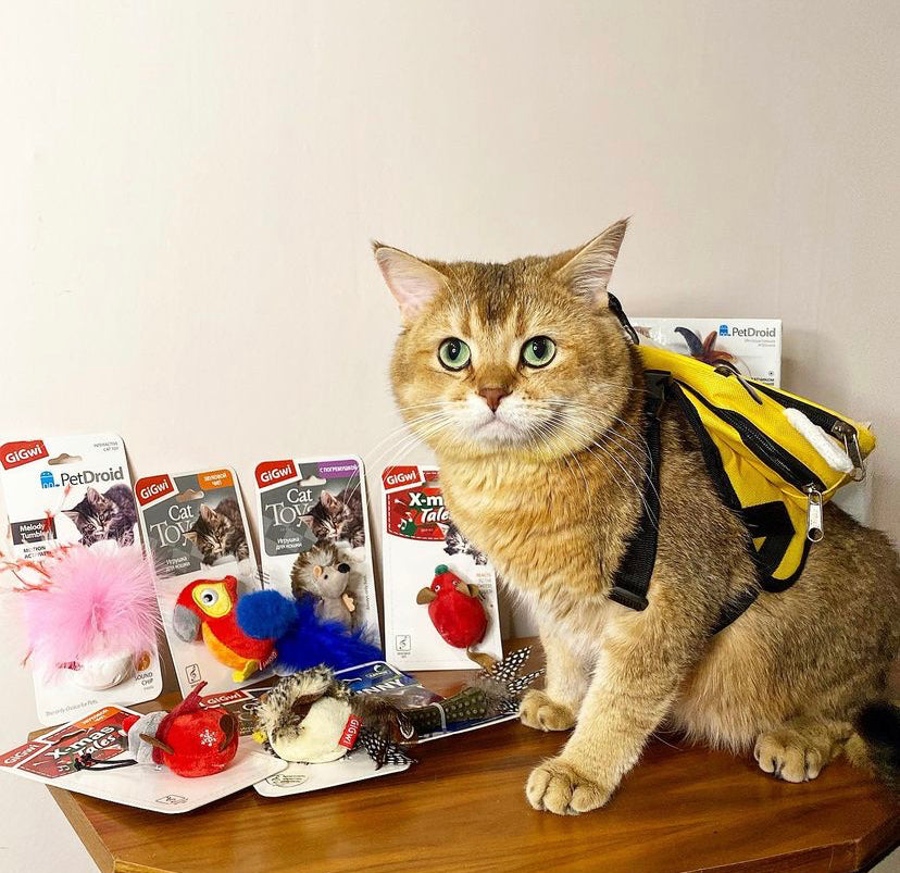 Gigwi | Juguete para gatos Pájaro 'Melody Chaser' sonido de pájaro y pluma — foto oficial GiGwi