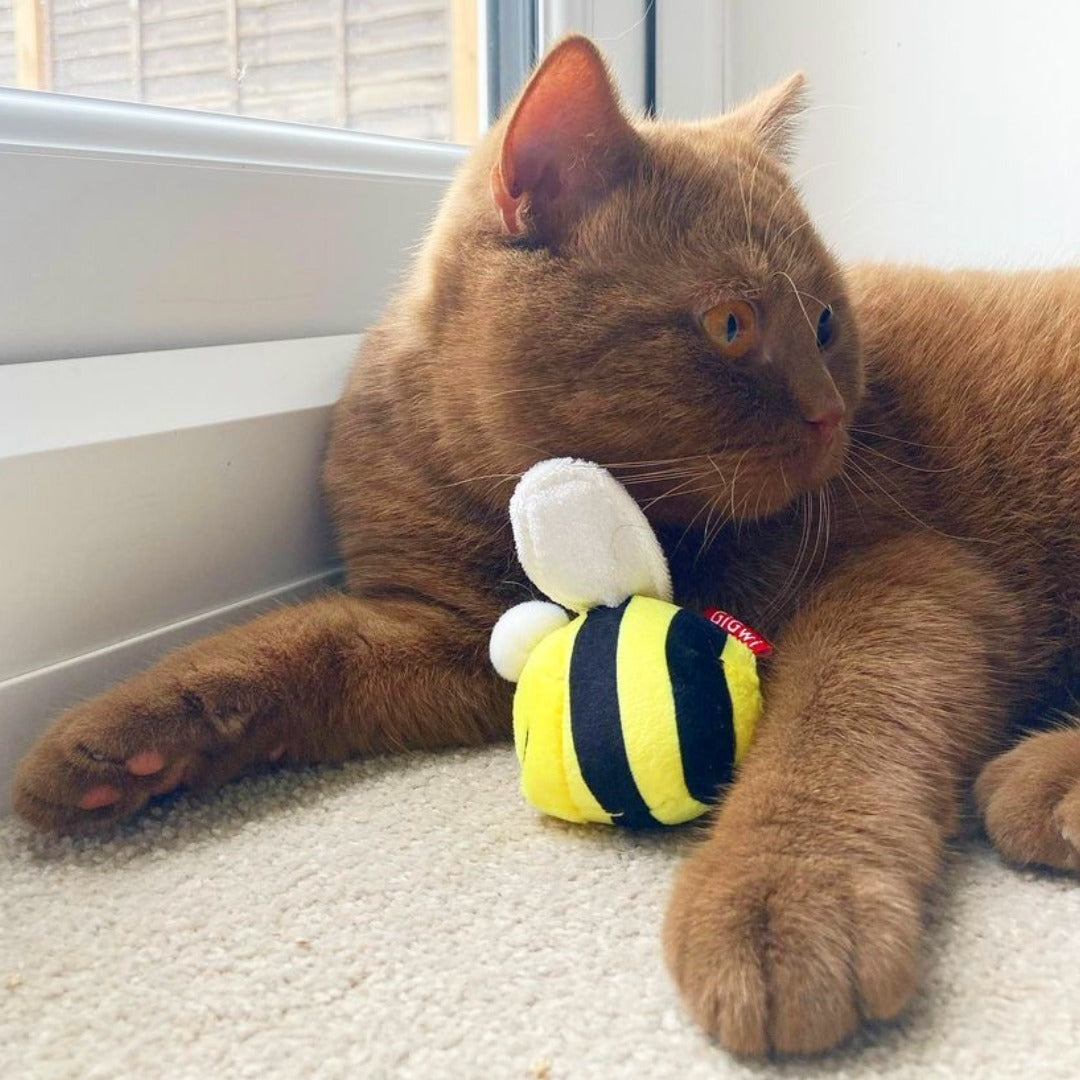 Gigwi | Juguete para gatos Abeja 'Melody Chaser' con sonido que se activa con el movimiento — foto oficial GiGwi