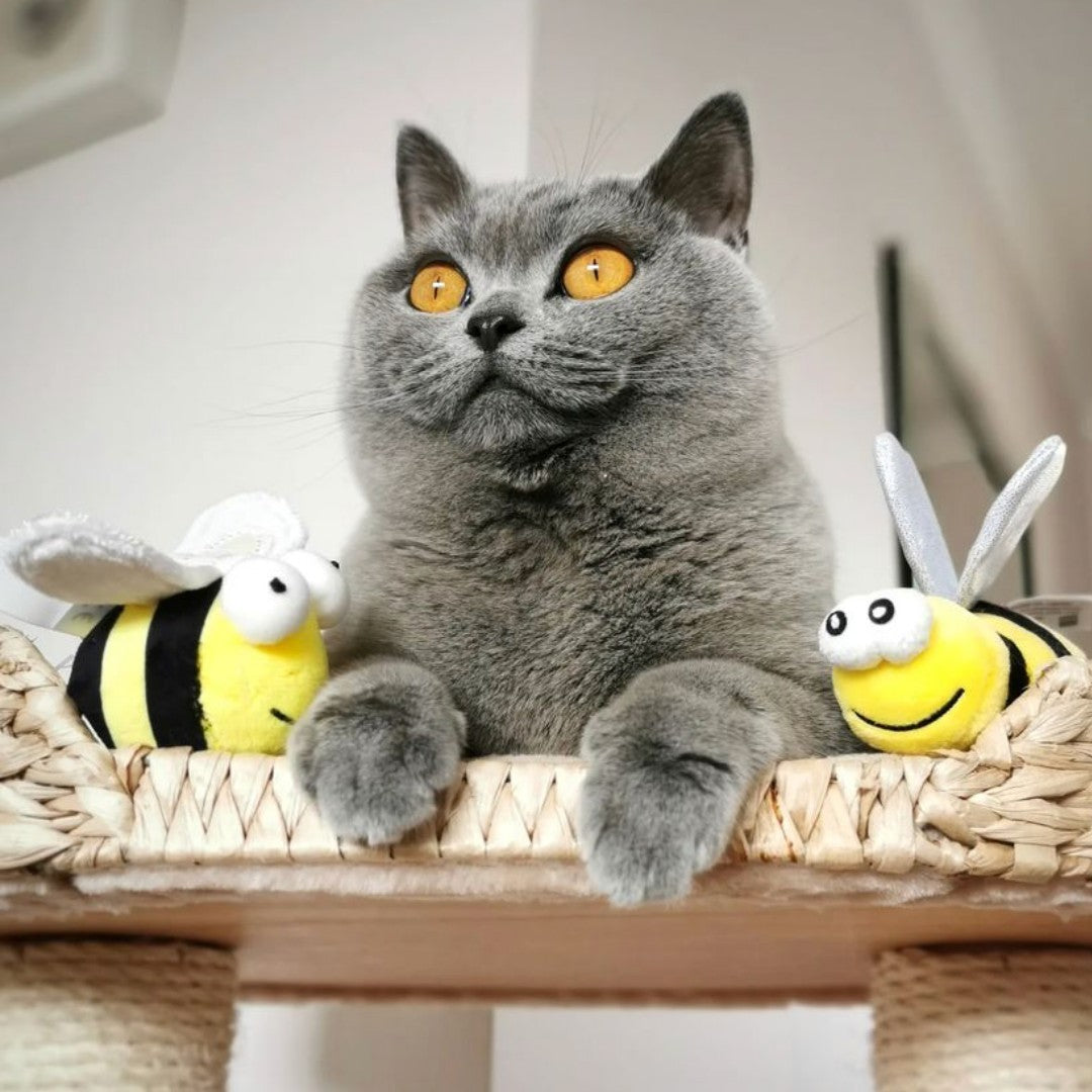 Gigwi | Juguete para gatos Abeja 'Melody Chaser' con sonido que se activa con el movimiento — foto oficial GiGwi