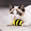 Gigwi | Juguete para gatos Abeja 'Melody Chaser' con sonido que se activa con el movimiento — foto oficial GiGwi