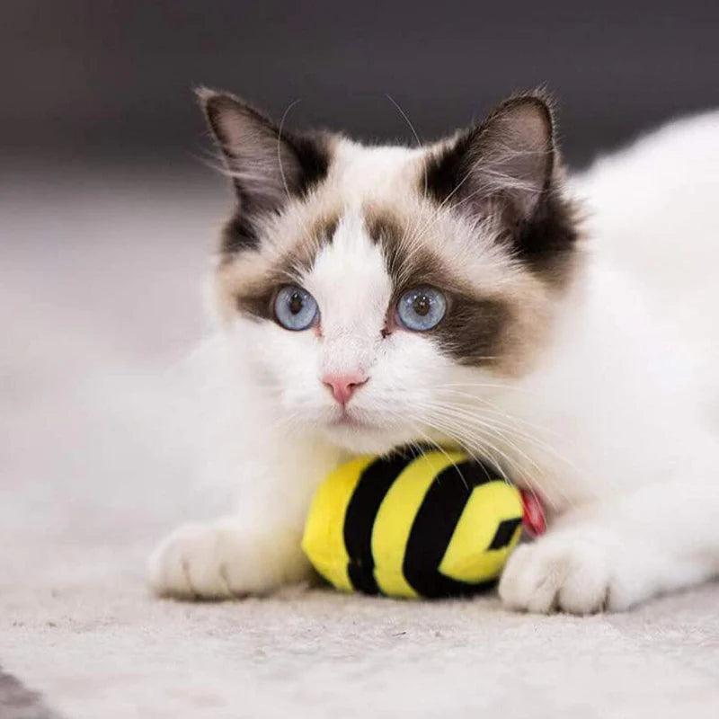 Gigwi | Juguete para gatos Abeja 'Melody Chaser' con sonido que se activa con el movimiento — foto oficial GiGwi