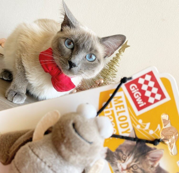 Gigwi | Juguete para gatos Melody Chaser Grillo — foto oficial GiGwi