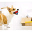 Gigwi Ball Originals | Pelotas de tenis para perros, pack de 3 — foto oficial GiGwi