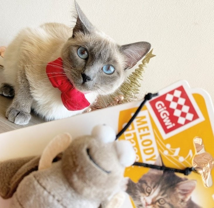 Gigwi | Juguete para gatos Melody Chaser Grillo — foto oficial GiGwi