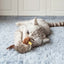 Gigwi | Juguete para gatos Pájaro 'Melody Chaser' sonido de pájaro y pluma — foto oficial GiGwi