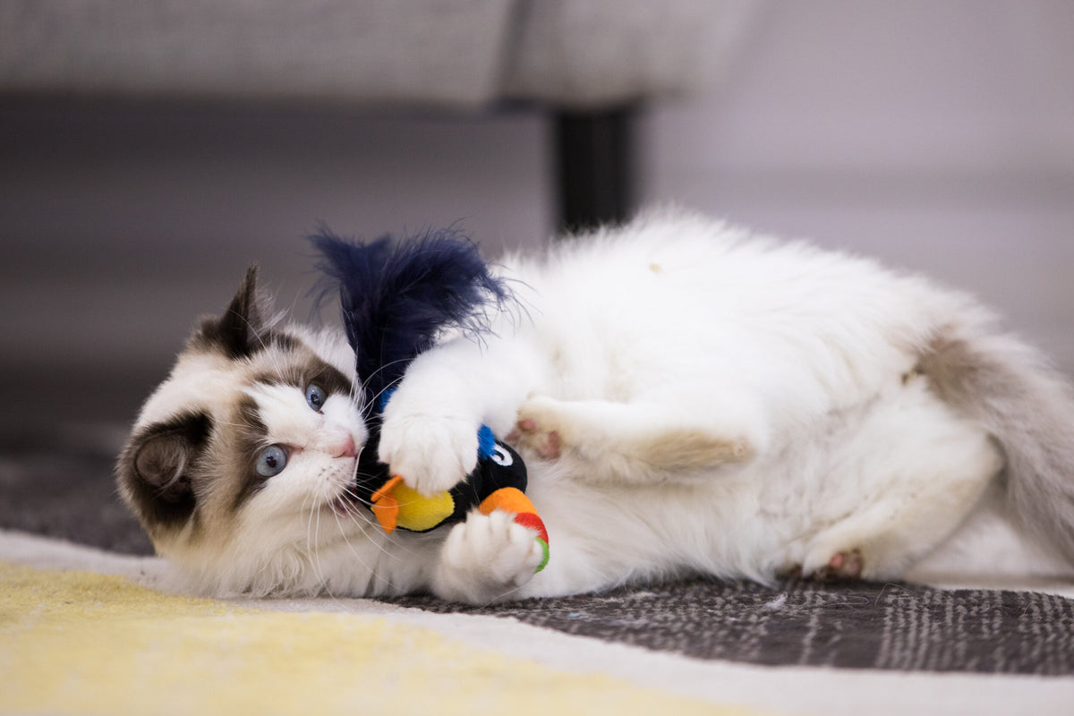 Gigwi | Juguete para gatos Tucán 'Melody Chaser' con sonido que se activa con el movimiento — foto oficial GiGwi