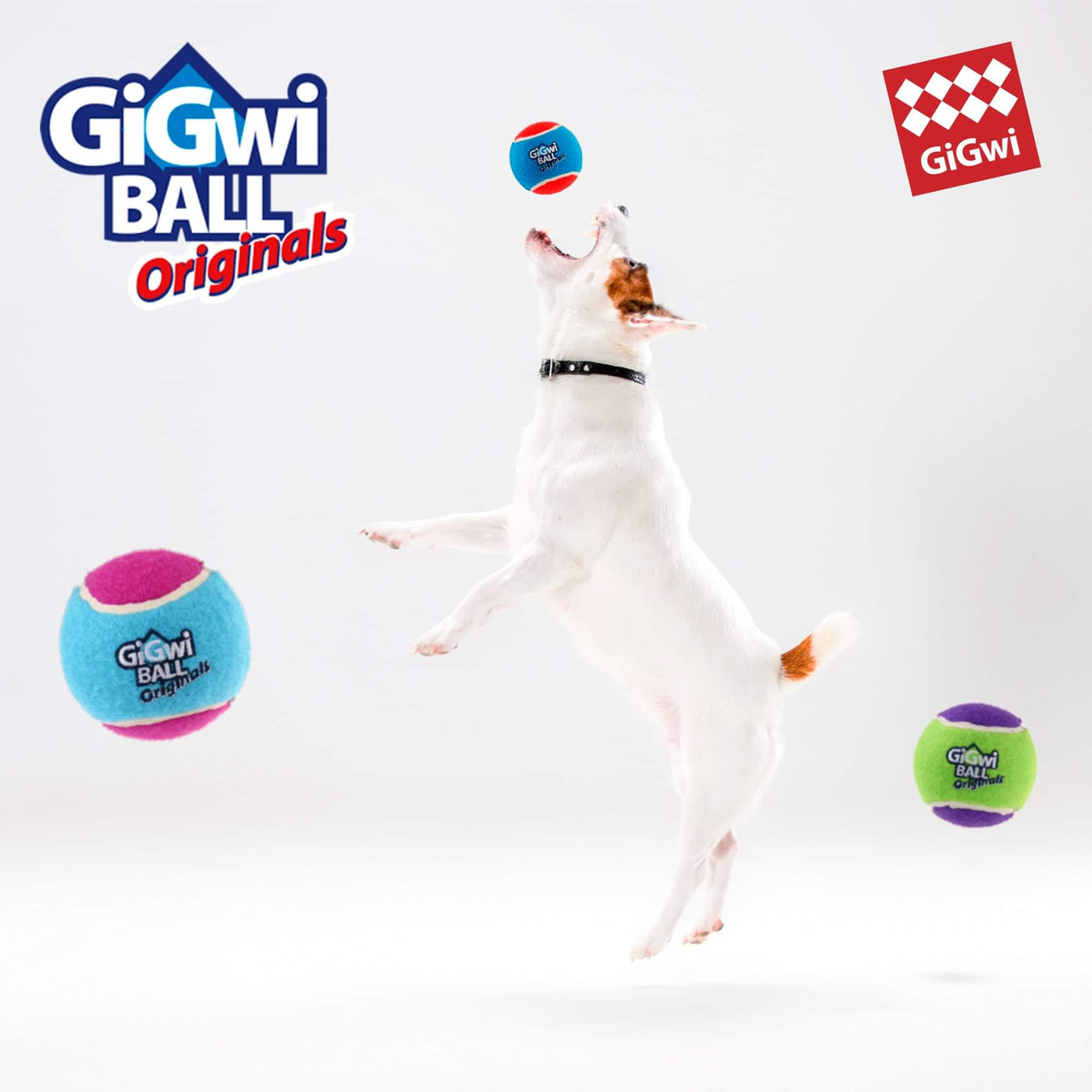Gigwi Ball Originals | Pelotas de tenis para perros, pack de 3 — foto oficial GiGwi