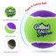 Gigwi Ball Originals | Pelotas de tenis para perros, pack de 3 — foto oficial GiGwi