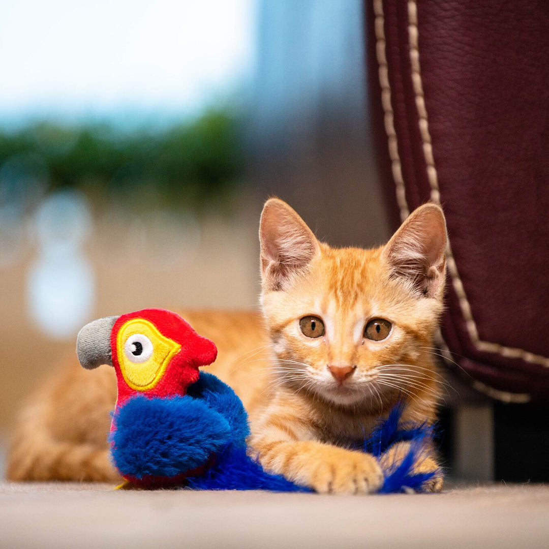 Gigwi | Juguete para gatos Loro 'Melody Chaser' con sonido que se activa con el movimiento — foto oficial GiGwi