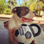 Gigwi | Juguete para perros 'Jumball' Pelota de fútbol con mango de goma — foto oficial GiGwi