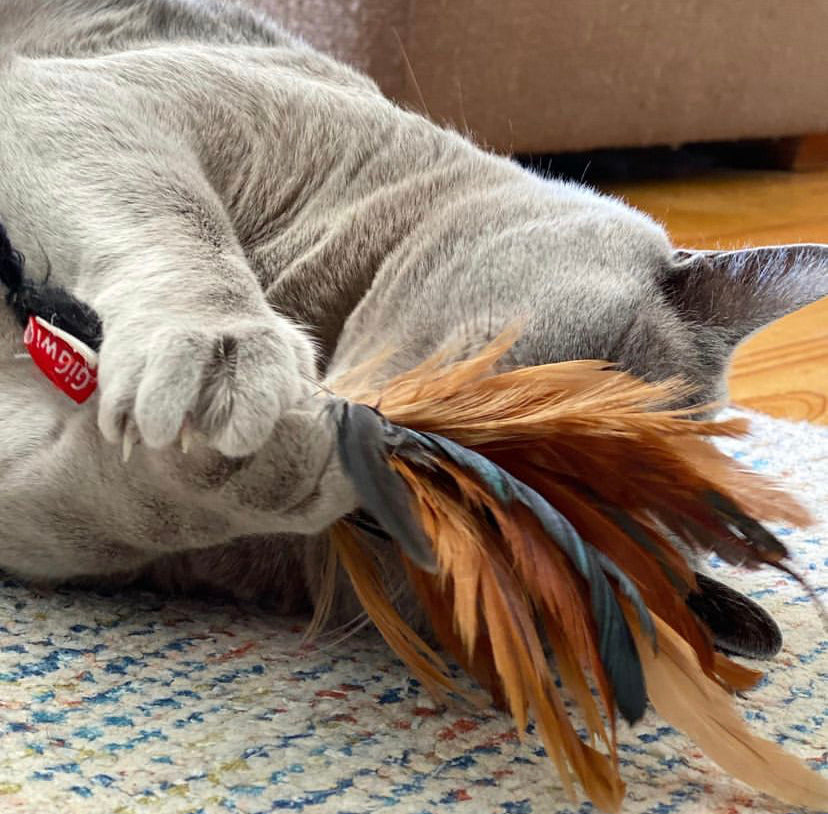 Gigwi | Juguete para gatos JOHNNY STICK CATNIP 2 lado marrón — foto oficial GiGwi