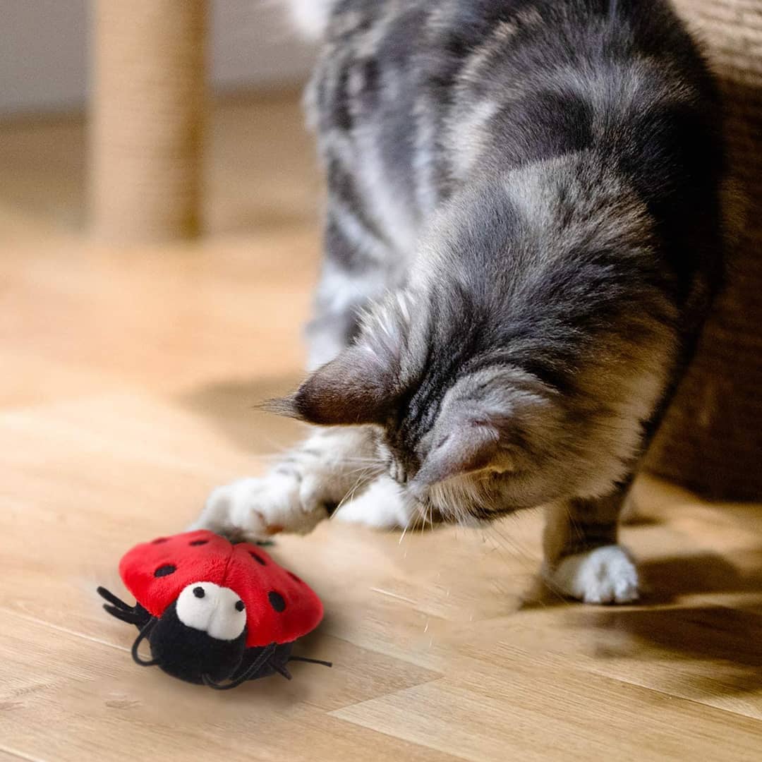 Gigwi Melody Chaser | Juguete Chini con sonido activado para gatos — foto oficial GiGwi